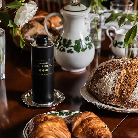 Chateau Senejac 招待所 Le Pian-Médoc