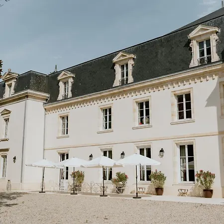 招待所 Chateau Senejac 3*