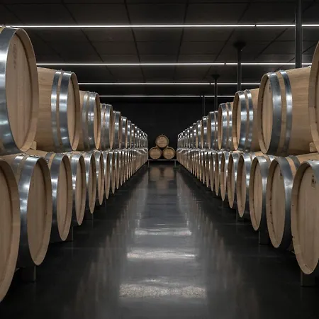 Chateau Senejac 3* Le Pian-Médoc