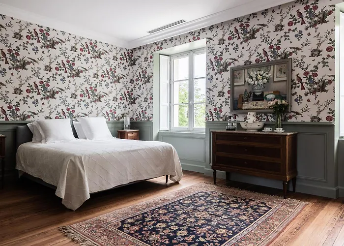 招待所 Chateau Senejac