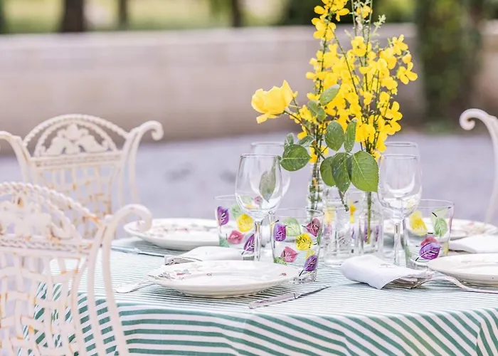 招待所 Chateau Senejac 3*