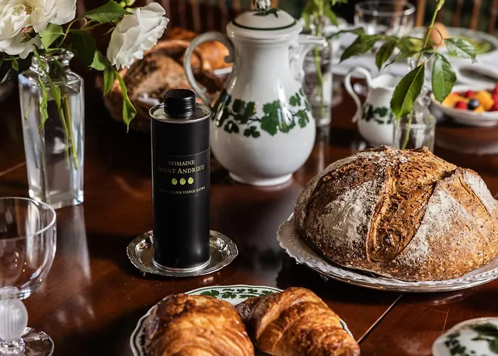 Chateau Senejac Гостевой дом Ле-Пьян-Медок