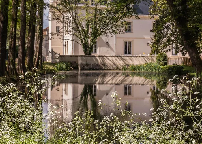 招待所 Chateau Senejac