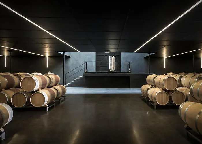 Гостевой дом Chateau Senejac