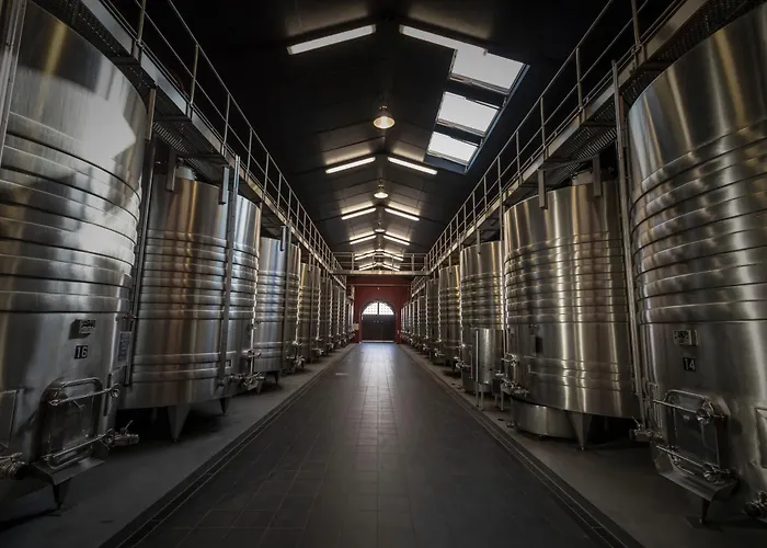 Chateau Senejac Гостевой дом