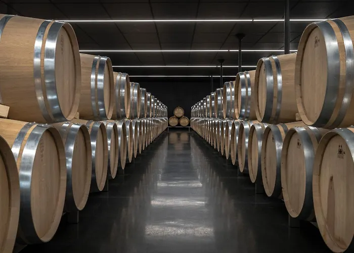 Chateau Senejac 3* Le Pian-Médoc