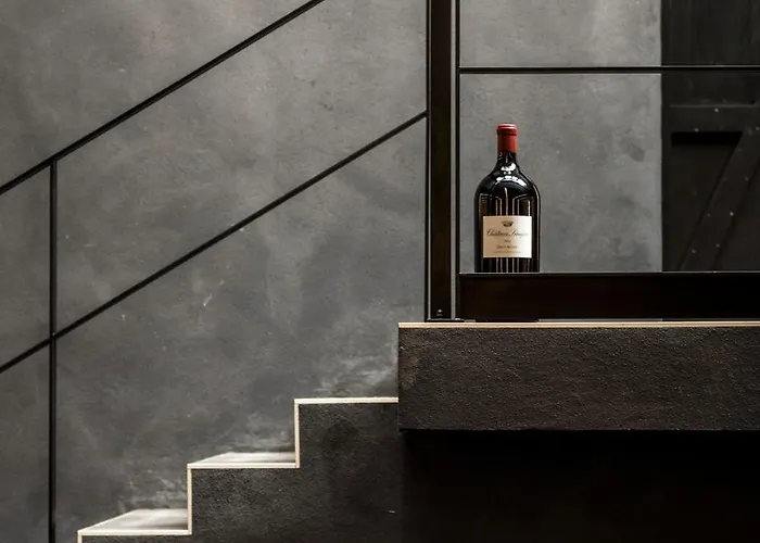 招待所 Chateau Senejac